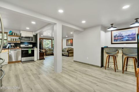 Tiny photo for 840 Eagle Furnace Rd, Rockwood, TN 37854 (MLS # 1325819)