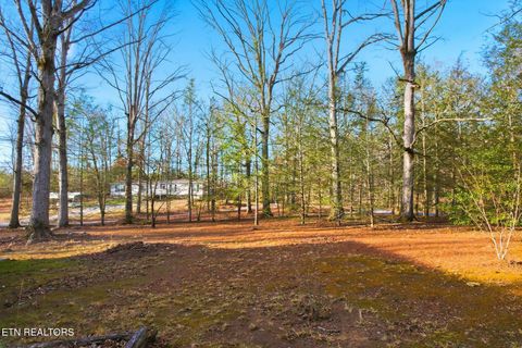 Tiny photo for 840 Eagle Furnace Rd, Rockwood, TN 37854 (MLS # 1325819)