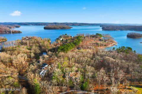 Tiny photo for 840 Eagle Furnace Rd, Rockwood, TN 37854 (MLS # 1325819)
