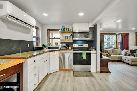 Tiny photo for 840 Eagle Furnace Rd, Rockwood, TN 37854 (MLS # 1325819)