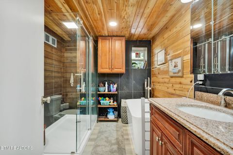 Tiny photo for 840 Eagle Furnace Rd, Rockwood, TN 37854 (MLS # 1325819)