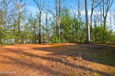 Tiny photo for 840 Eagle Furnace Rd, Rockwood, TN 37854 (MLS # 1325819)