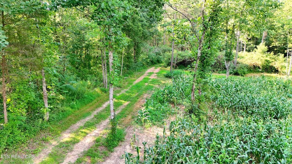 Photo of 17 Pleasant View Cemetary Rd, New Market, TN 37820 (MLS # 1326751)