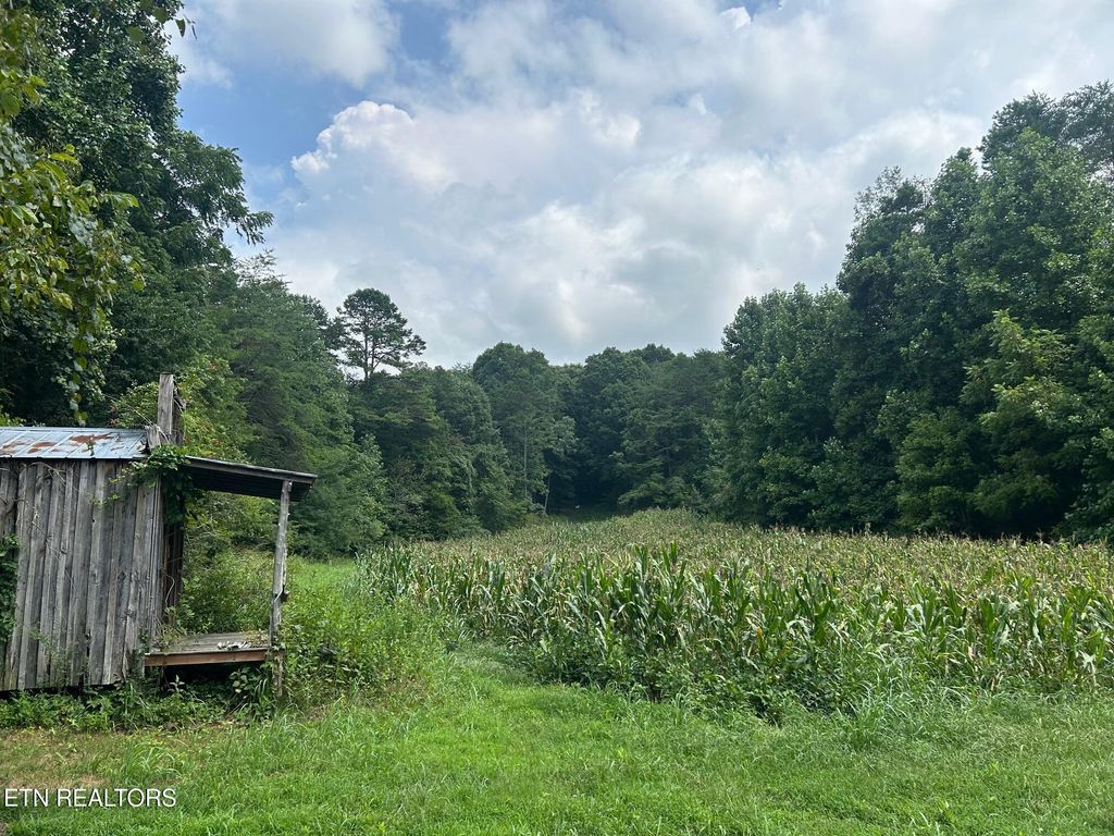 Photo of 17 Pleasant View Cemetary Rd, New Market, TN 37820 (MLS # 1326751)