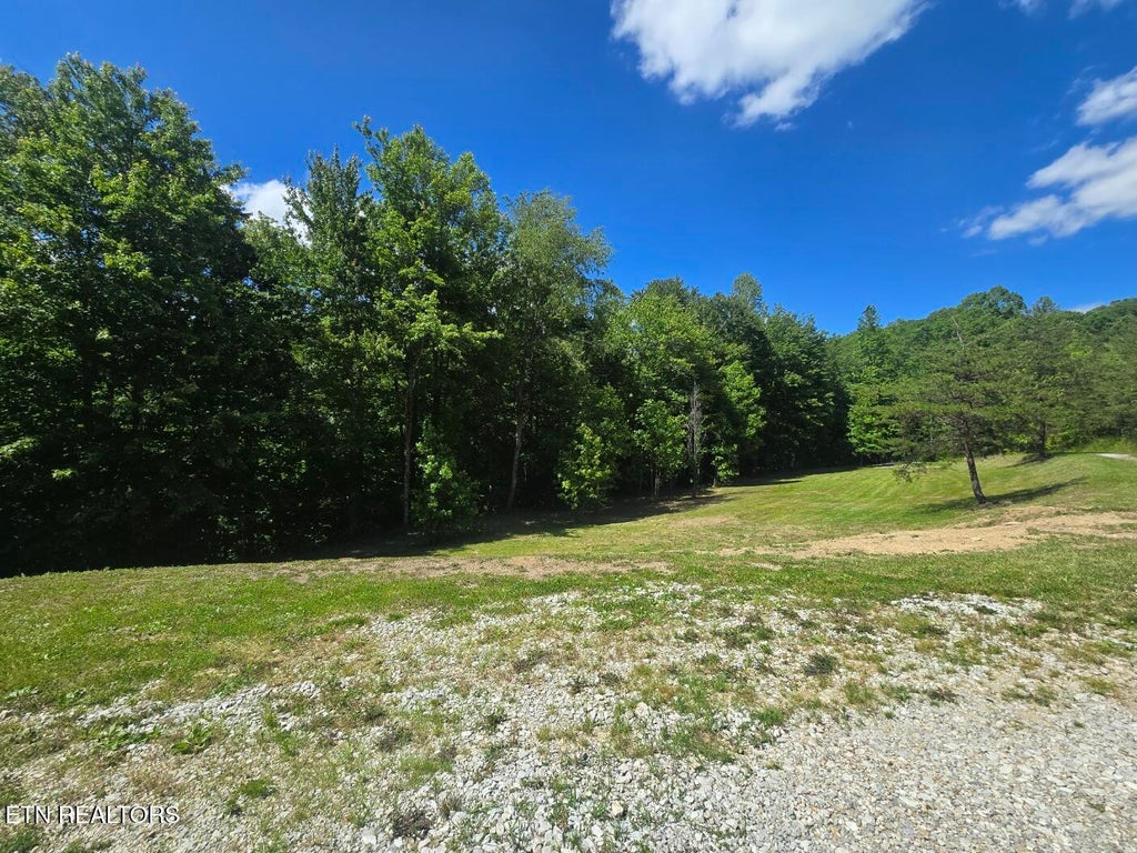 Photo of 458 Beaver Lane, Oneida, TN 37841 (MLS # 1302663)