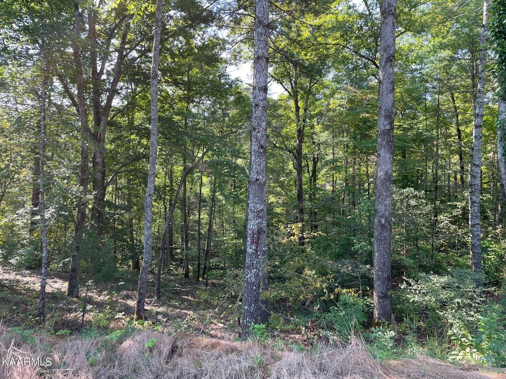 Photo of 328 Beckett Ridge Rd, Townsend, TN 37882 (MLS # 1228403)
