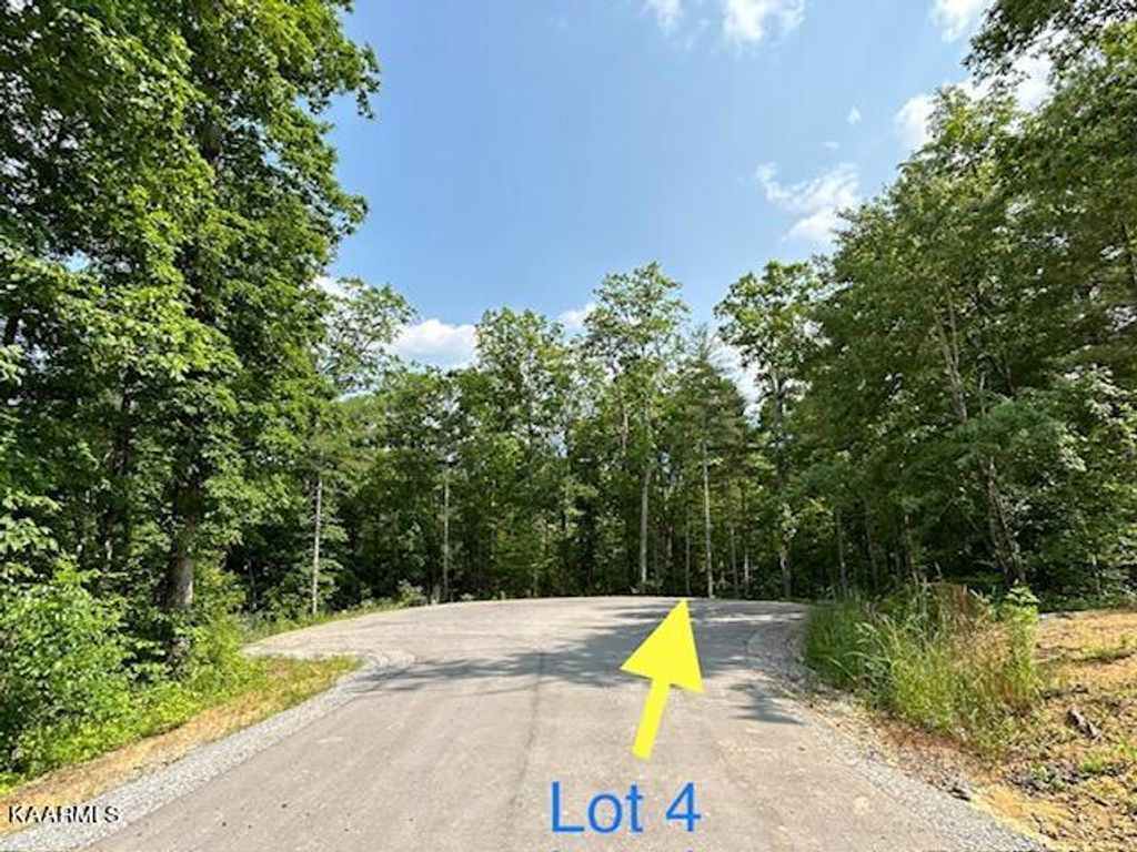 Photo of 328 Beckett Ridge Rd, Townsend, TN 37882 (MLS # 1228403)