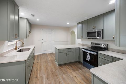Tiny photo for 768 Northview Drive, Kodak, TN 37764 (MLS # 1340933)