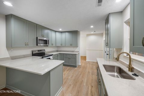 Tiny photo for 768 Northview Drive, Kodak, TN 37764 (MLS # 1340933)