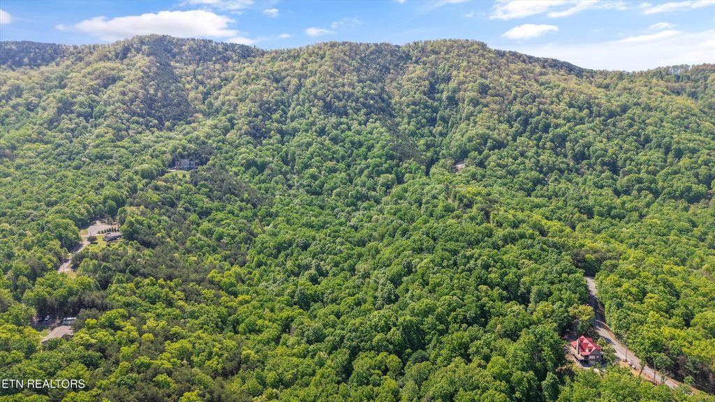 Photo of 77 Chilhowee Tr, Maryville, TN 37803 (MLS # 1339505)