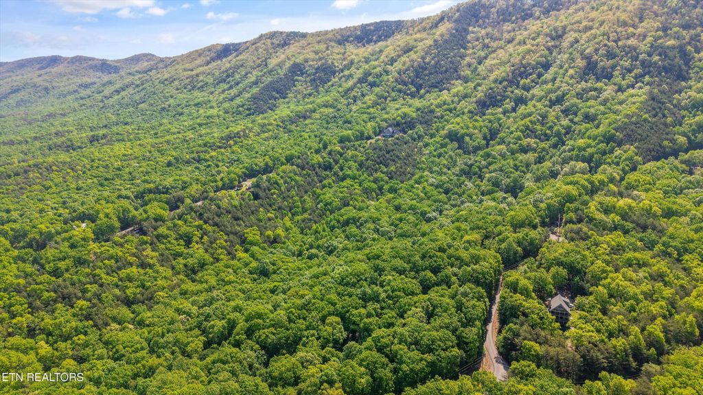 Photo of 77 Chilhowee Tr, Maryville, TN 37803 (MLS # 1339505)