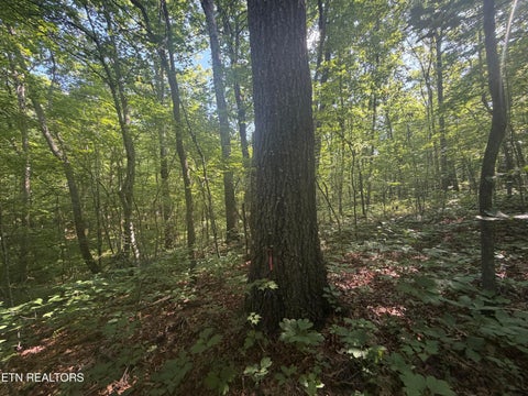 Tiny photo for 0 Muddy Branch Road Rd, Crossville, TN 38571 (MLS # 1355903)