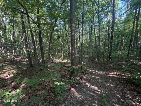 Tiny photo for 0 Muddy Branch Road Rd, Crossville, TN 38571 (MLS # 1355903)