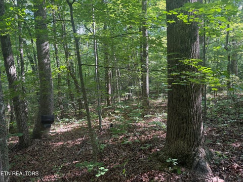 Tiny photo for 0 Muddy Branch Road Rd, Crossville, TN 38571 (MLS # 1355903)