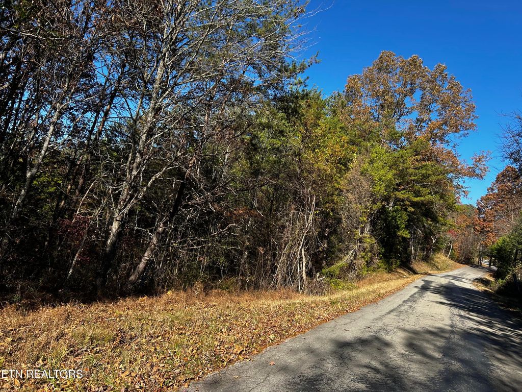 Photo of Shadden Road Lot 2, Tellico Plains, TN 37385 (MLS # 1321777)