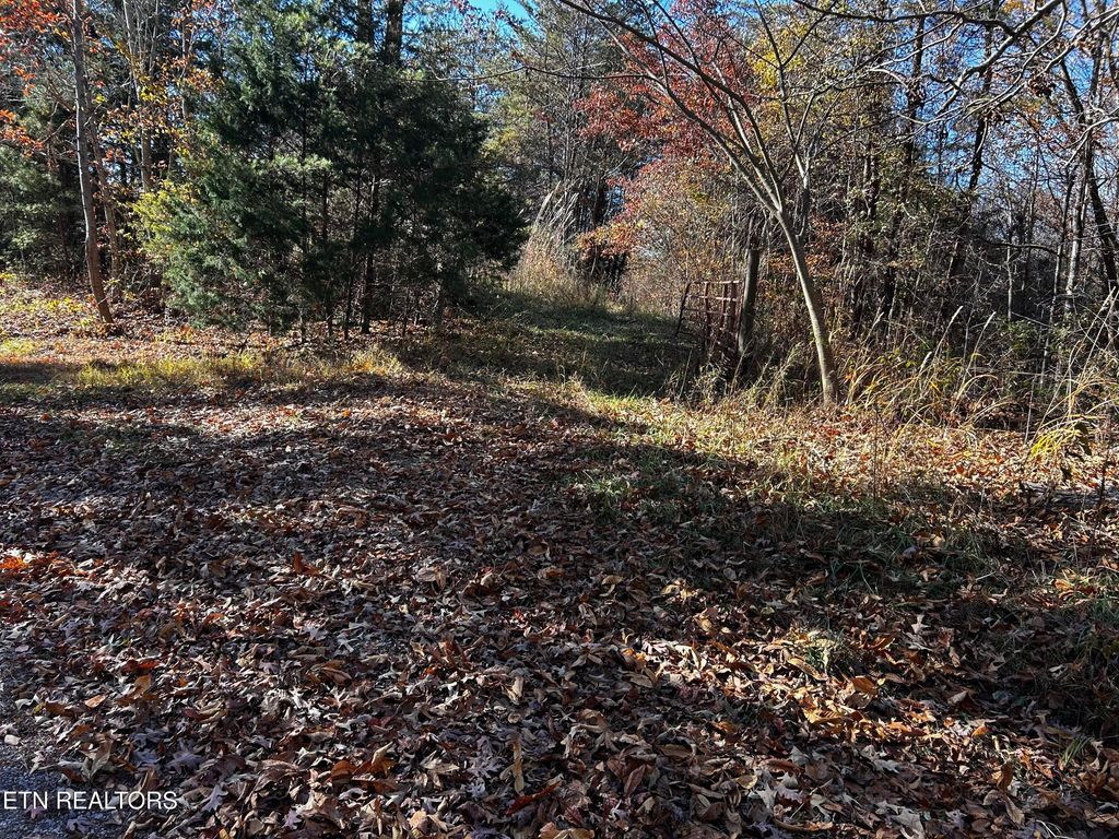 Photo of Shadden Road Lot 2, Tellico Plains, TN 37385 (MLS # 1321777)