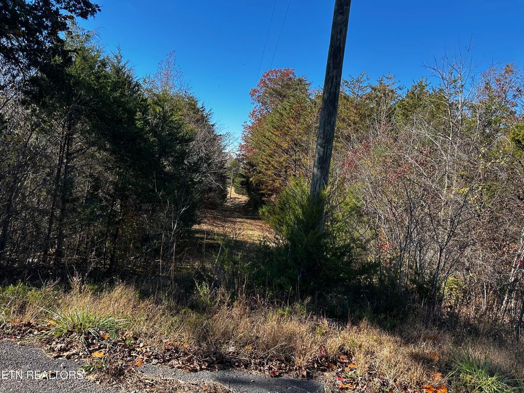 Photo of Shadden Road Lot 2, Tellico Plains, TN 37385 (MLS # 1321777)