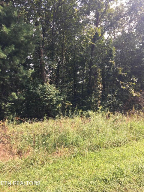 Featured picture for the property 1238749
