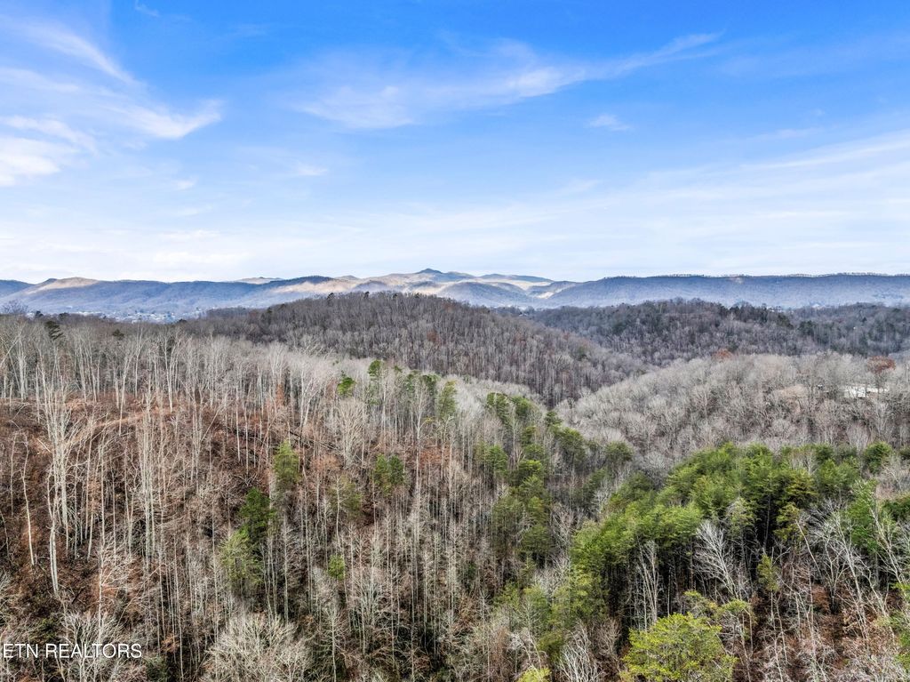 Photo of 564 Quail Run Lane, LaFollette, TN 37766 (MLS # 1322422)