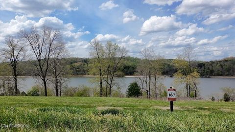 Tiny photo for 687 River Bank Tr, Loudon, TN 37774 (MLS # 1335234)