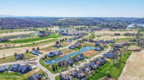Tiny photo for 687 River Bank Tr, Loudon, TN 37774 (MLS # 1335234)