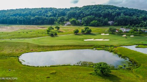 Tiny photo for 687 River Bank Tr, Loudon, TN 37774 (MLS # 1335234)