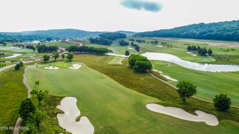 Tiny photo for 687 River Bank Tr, Loudon, TN 37774 (MLS # 1335234)