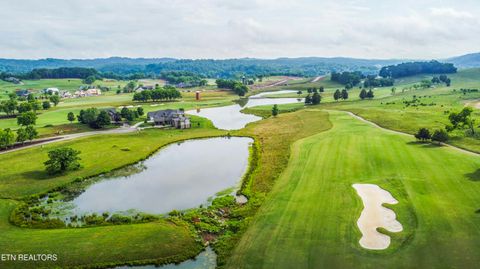Tiny photo for 687 River Bank Tr, Loudon, TN 37774 (MLS # 1335234)