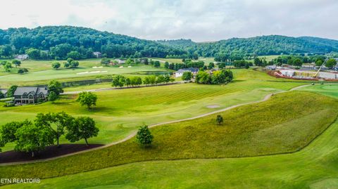 Tiny photo for 687 River Bank Tr, Loudon, TN 37774 (MLS # 1335234)