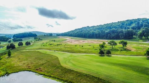 Tiny photo for 687 River Bank Tr, Loudon, TN 37774 (MLS # 1335234)