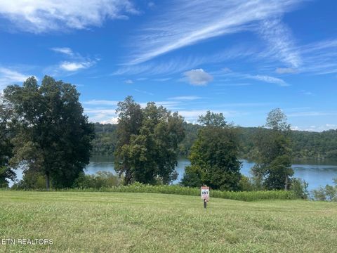Photo of 687 River Bank Tr, Loudon, TN 37774 (MLS # 1335234)