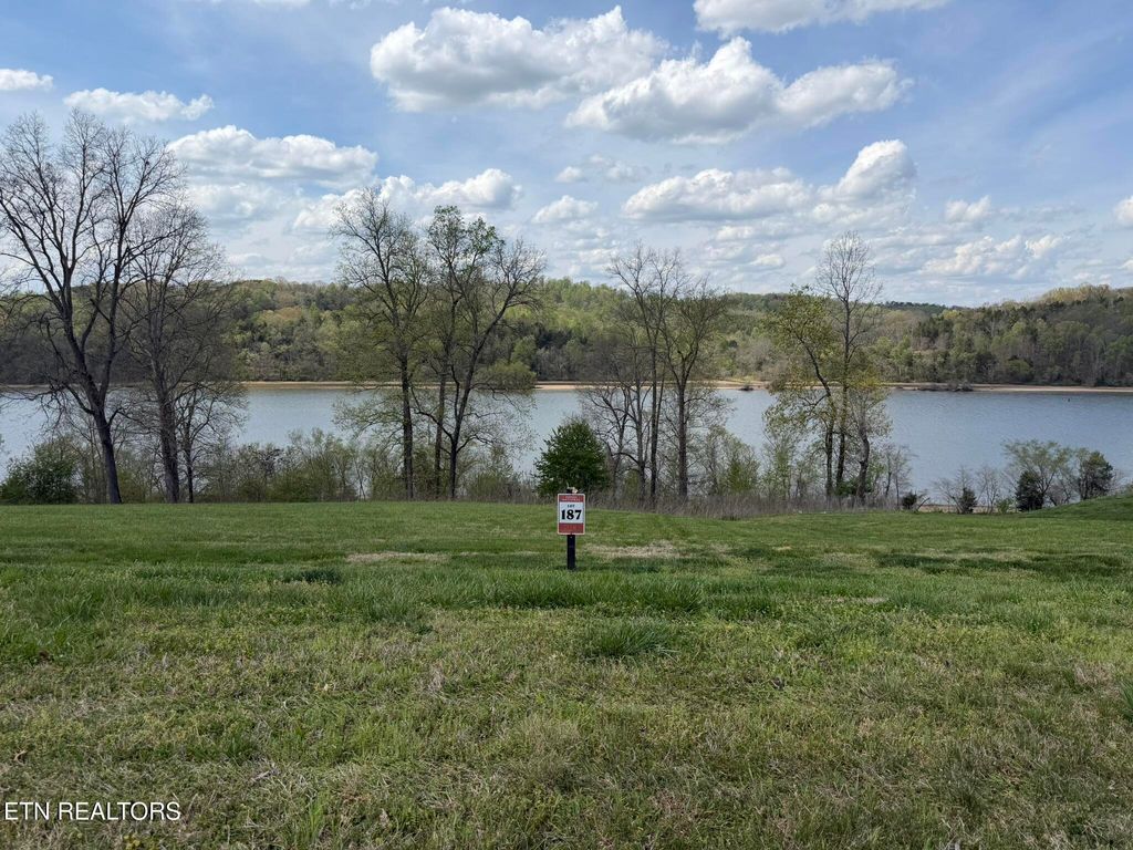 Photo of 687 River Bank Tr, Loudon, TN 37774 (MLS # 1335234)