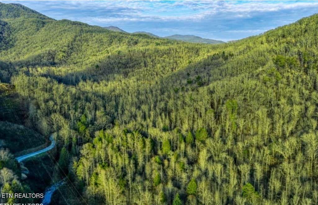 Photo of 0 Hoskins Gap Rd #0, Oliver Springs, TN 37840 (MLS # 1351106)