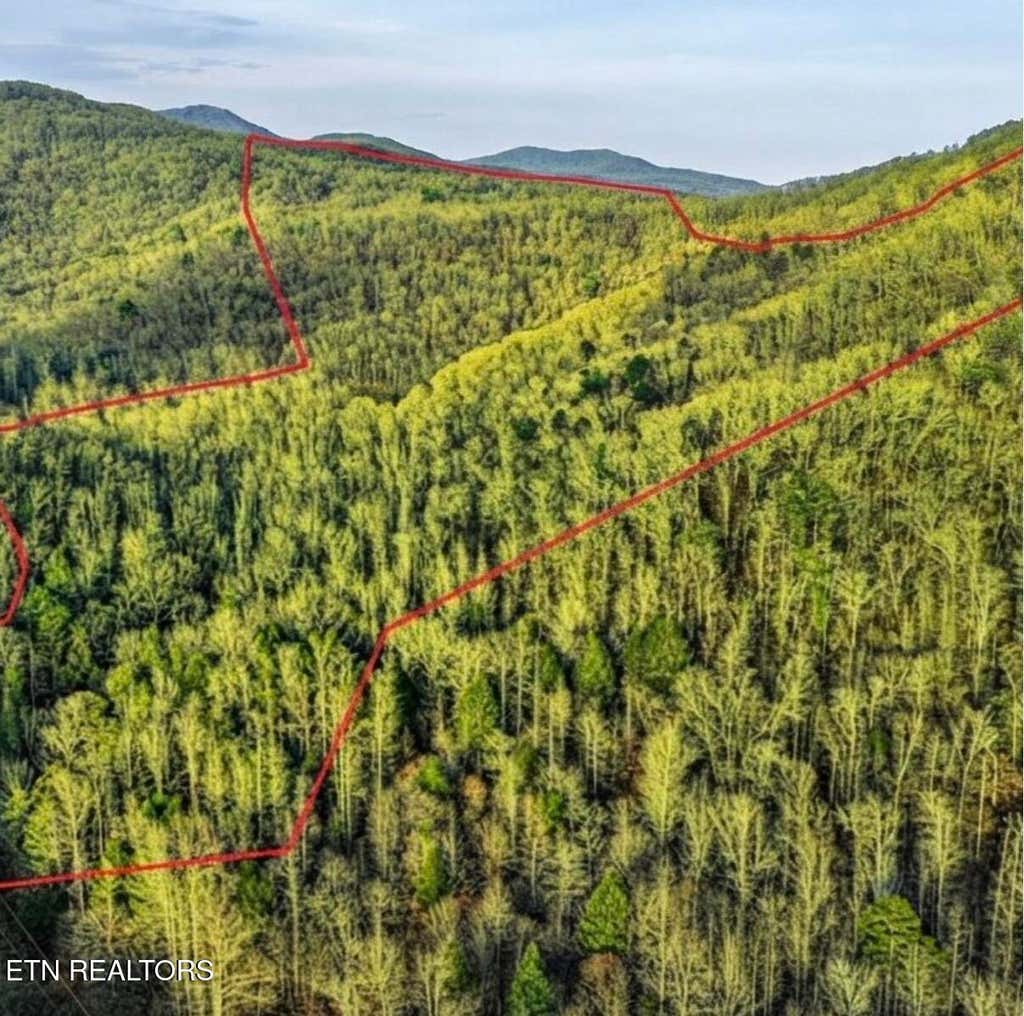 Photo of 0 Hoskins Gap Rd #0, Oliver Springs, TN 37840 (MLS # 1351106)