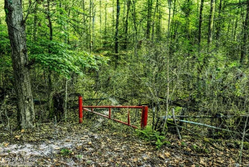 Photo of 0 Hoskins Gap Rd #0, Oliver Springs, TN 37840 (MLS # 1351106)