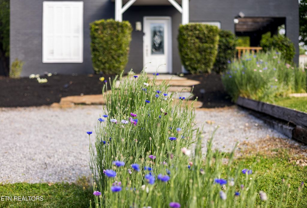 Photo of 1146 E Lincoln Rd, Maryville, TN 37804 (MLS # 1337576)