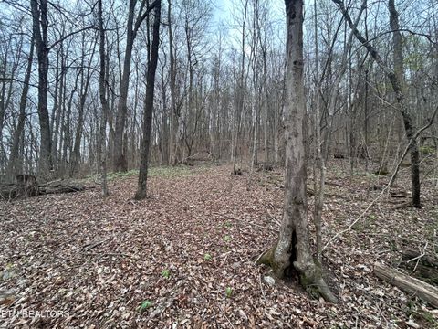Tiny photo for 10 Acres Possum Valley Rd, Maynardville, TN 37807 (MLS # 1336325)
