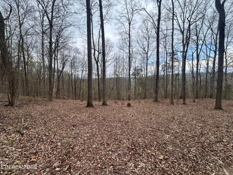 Tiny photo for 10 Acres Possum Valley Rd, Maynardville, TN 37807 (MLS # 1336325)
