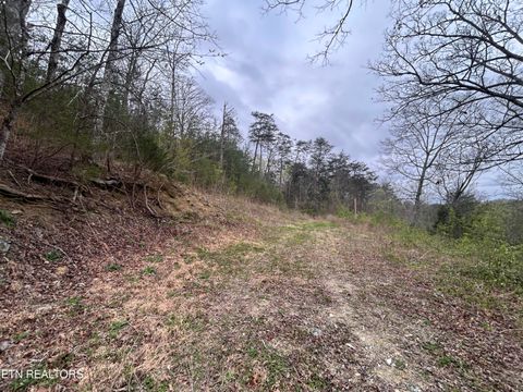 Tiny photo for 10 Acres Possum Valley Rd, Maynardville, TN 37807 (MLS # 1336325)