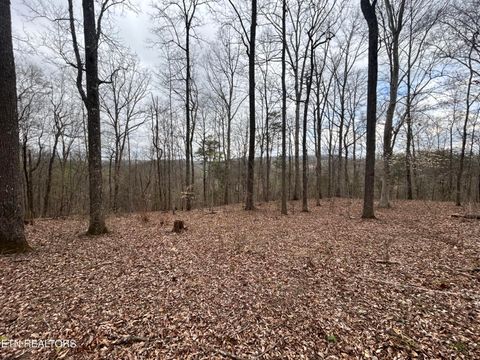 Tiny photo for 10 Acres Possum Valley Rd, Maynardville, TN 37807 (MLS # 1336325)