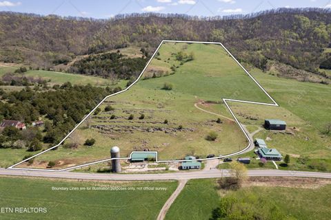 000 Little Sycamore Rd Tazewell TN 37879