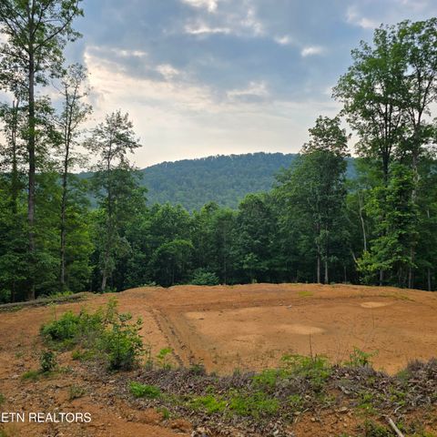 1133 Tomahawk Drive Jamestown TN 38556