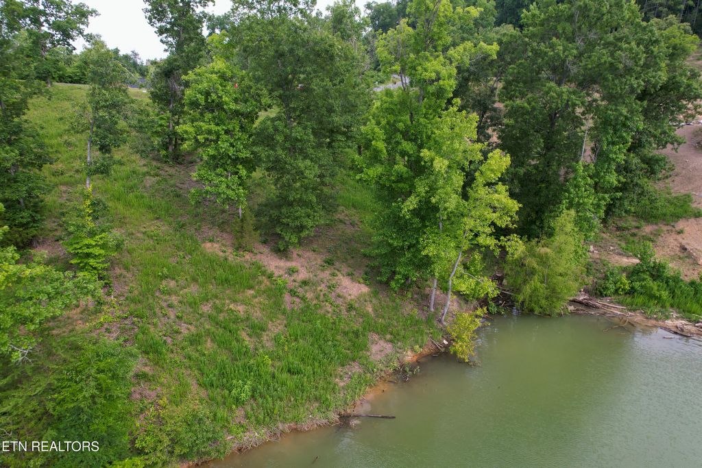 Photo of 44 Stone Harbor Drive, Dandridge, TN 37725 (MLS # 1339163)