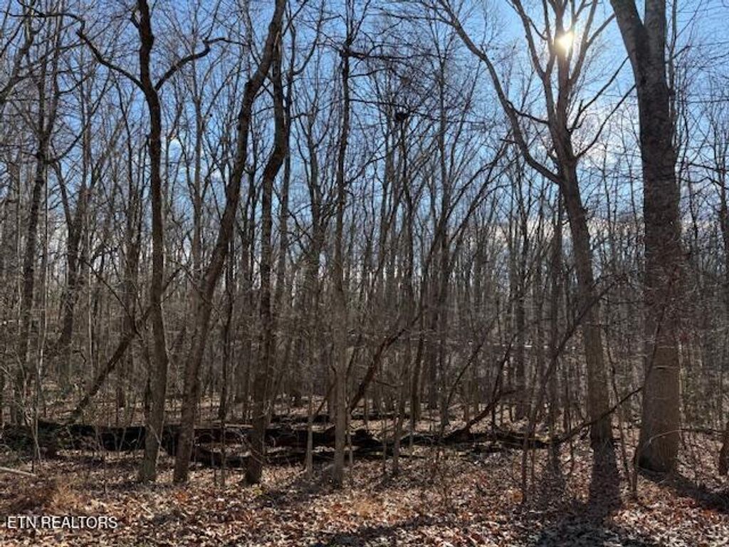 Photo of 113 Overlook Cove, Crossville, TN 38558 (MLS # 1328551)