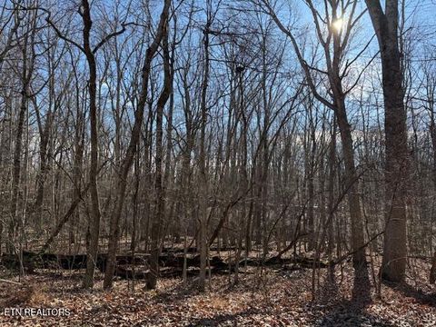 Photo of 113 Overlook Cove, Crossville, TN 38558 (MLS # 1328551)