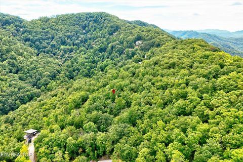 Tiny photo for 2743 Overholt Tr, Sevierville, TN 37876 (MLS # 1317287)