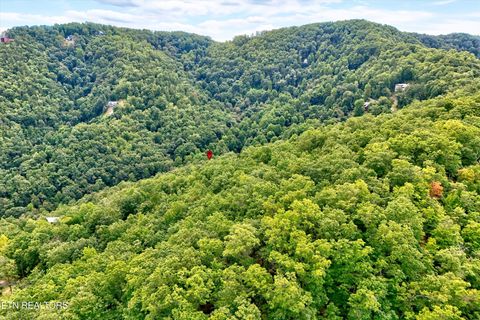 Tiny photo for 2743 Overholt Tr, Sevierville, TN 37876 (MLS # 1317287)
