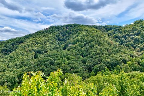 Tiny photo for 2743 Overholt Tr, Sevierville, TN 37876 (MLS # 1317287)