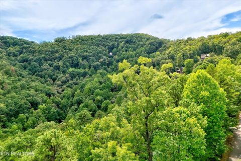 Tiny photo for 2743 Overholt Tr, Sevierville, TN 37876 (MLS # 1317287)
