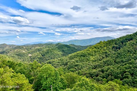 Tiny photo for 2743 Overholt Tr, Sevierville, TN 37876 (MLS # 1317287)